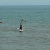 Pratiquer le stand up paddle en Normandie