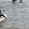 Pratiquer le stand up paddle en Normandie